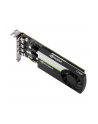 pny technologies Karta graficzna PNY NVIDIA T1000 8GB, GDDR6, 4x DisplayPort, PCI Express 30, LP - ATX bracket, Retail - nr 10