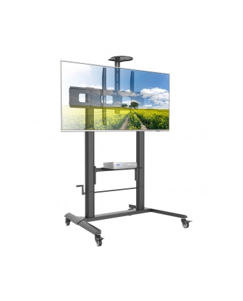 techly Stojak Mobilny do Tablic interaktywnych 52-110cali, 120kg, płynna regulacja nr 1