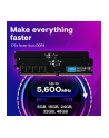 crucial Pamięć DDR5 8GB/5600 CL46 (16Gbit) - nr 20