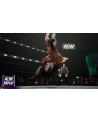 plaion Gra PlayStation 5 AEW: Fight Forever - nr 3