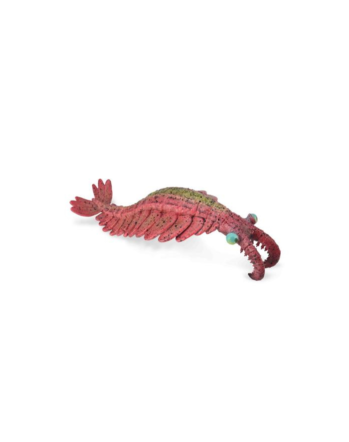 Anomalocaris 88977 COLLECTA główny