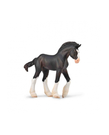 Źrebię Clydesdale maści czarnej 88982 COLLECTA