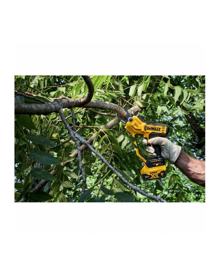 no name EP Pigcasso - gra kreatywna 03861 główny