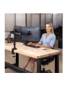 Fellowes Ergonomia  ramię na 2 monitory Reflex - nr 13