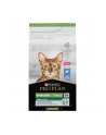 purina nestle PURINA PRO PLAN STERILISED Renal Plus Królik 10kg - nr 1