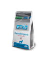 FARMINA VET LIFE NAT DOG HYPO PORK POTATO ADULT 2kg - nr 1