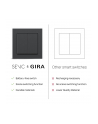 Senic Friends of Hue Smart Switch, Switch (Black (Matte), Pack of 3) - nr 12