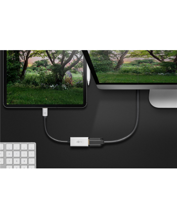 goobay USB adapter, USB-C plug > HDMI socket (Kolor: CZARNY/silver, 15cm) nr 1