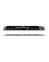 Corsair MP600 PRO NH 1TB, SSD (PCIe 4.0 x4, NVMe 1.4, M.2 2280) - nr 40