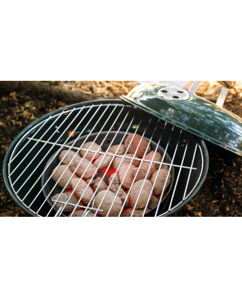 Easy Camp charcoal grill Adventure Grill Green (green, O 36cm, model 2023)