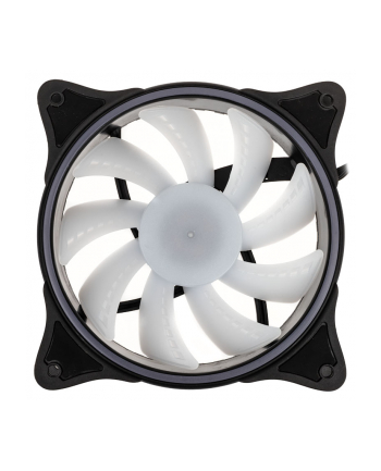 Alphacool Rise Aurora140mm fan 140x140x25mm, case fan (Kolor: CZARNY/transparent)