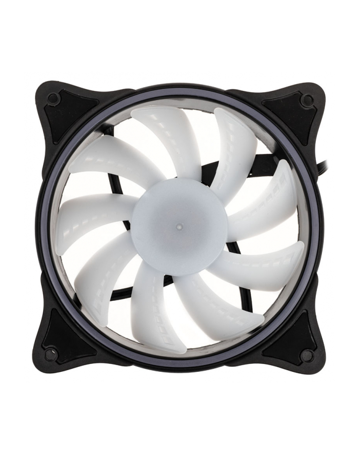 Alphacool Rise Aurora140mm fan 140x140x25mm, case fan (Kolor: CZARNY/transparent) główny