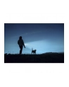 Ansmann Daily Use 300B, flashlight (silver/Kolor: CZARNY) - nr 17