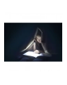 Ansmann Daily Use 300B, flashlight (silver/Kolor: CZARNY) - nr 20