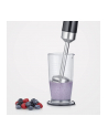 Severin SM 3772, hand blender (Kolor: CZARNY / stainless steel (brushed), with accessory set) - nr 11