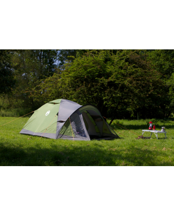Coleman 3-person dome tent Darwin 3 Plus (grey/light green, with tunnel stem, model 2023)