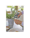 GARD-ENA Secateurs HerbCut (grey/turquoise, herb scissors with defoliation function) - nr 15