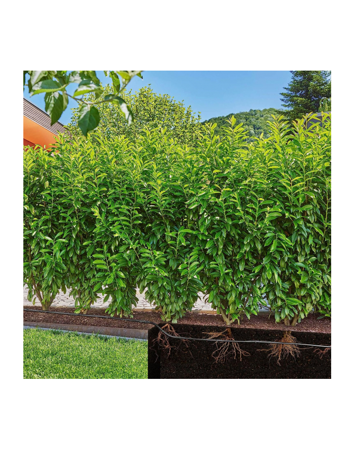 GARD-ENA Micro-Drip-System drip irrigation hedges/bushes set, 25 meters, drippers (Kolor: CZARNY, model 2023, above and below ground) główny