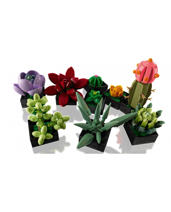 LEGO 10309 Icons Succulents Construction Toy