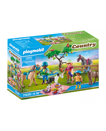 Playmobil 71239 Picnic Trip with Horses construction toy