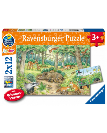 Ravensburger Why? For what reason? Why? Animals in the forest and on the meadow, jigsaw puzzle (2x 12 parts, with knowledge poster)