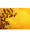 Ravensburger Jigsaw Puzzle Bees (1000 pieces) - nr 7