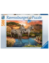 Ravensburger Puzzle Zebras at the Waterhole (500 pieces) - nr 2