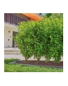 GARD-ENA Micro-Drip-System drip irrigation hedges/bushes set, 25 meters, drippers (Kolor: CZARNY, model 2023, above and below ground) - nr 12