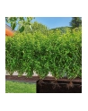 GARD-ENA Micro-Drip-System drip irrigation hedges/bushes set, 25 meters, drippers (Kolor: CZARNY, model 2023, above and below ground) - nr 14