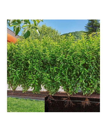 GARD-ENA Micro-Drip-System drip irrigation hedges/bushes set, 25 meters, drippers (Kolor: CZARNY, model 2023, above and below ground) nr 1