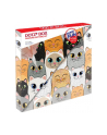dante Diamond Dotz Cat Clan Dotz Box DBX020 - nr 1