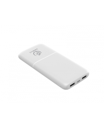 rebeltec Powerbank P10 (10 000 mAh 10W)