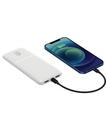 rebeltec Powerbank P10 (10 000 mAh 10W)