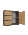 top e shop Komoda COSTA 1D3S+2D3S antracyt/artisan - nr 3