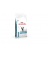 Royal Canin Hypoallergernic Cat Dry 45kg - nr 3