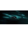 kingston Dysk SSD XS1000 1TB USB3.2 Gen2 Zewnętrzny - nr 64