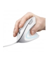 Mysz TRUST VERTO ERGO MOUSE WHT - nr 11