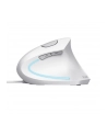 Mysz TRUST VERTO ERGO MOUSE WHT - nr 1
