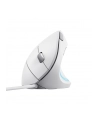 Mysz TRUST VERTO ERGO MOUSE WHT - nr 20