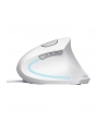 Mysz TRUST VERTO ERGO MOUSE WHT - nr 21