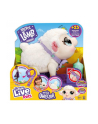 cobi Little Live Pets 26476 Owieczka - nr 1