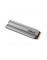 Dysk SSD DAHUA C900plus 256GB PCIe Gen3 - nr 1