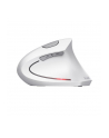 Mysz bezprzewodowa TRUST VERTO WIRELESS ERGO MOUSE WHT - nr 15