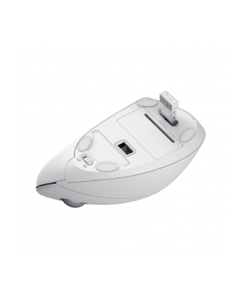 Mysz bezprzewodowa TRUST VERTO WIRELESS ERGO MOUSE WHT