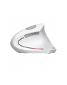 Mysz bezprzewodowa TRUST VERTO WIRELESS ERGO MOUSE WHT - nr 6