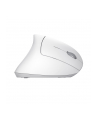 Mysz bezprzewodowa TRUST VERTO WIRELESS ERGO MOUSE WHT - nr 7