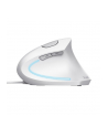 Mysz TRUST VERTO ERGO MOUSE WHT - nr 11