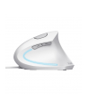 Mysz TRUST VERTO ERGO MOUSE WHT - nr 5