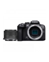 Canon EOS R10 + RF-S 18 -45 mm F4.5 - 6.3 IS STM - nr 24