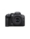 Canon EOS R10 + RF-S 18 -45 mm F4.5 - 6.3 IS STM - nr 25